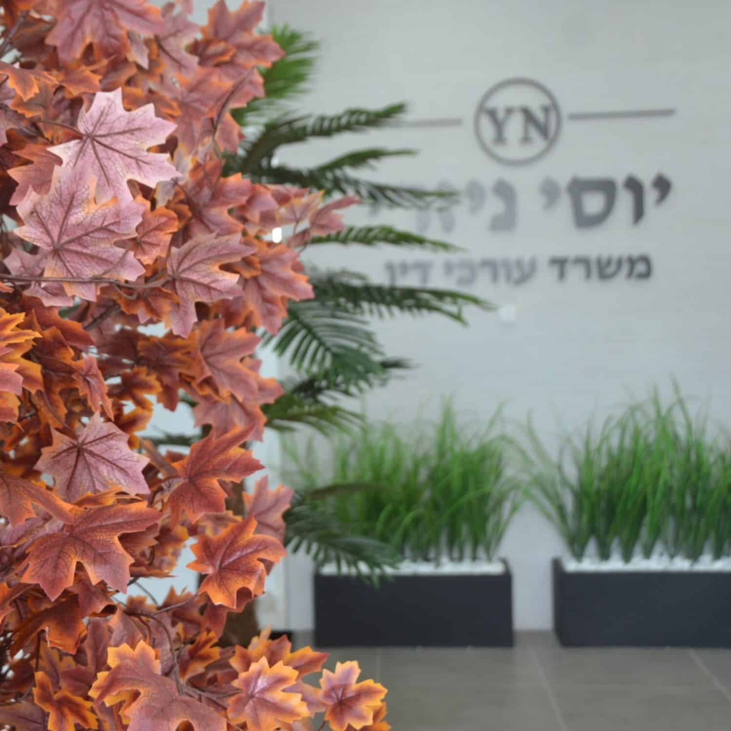 צמחייה מלאכותית למשרד