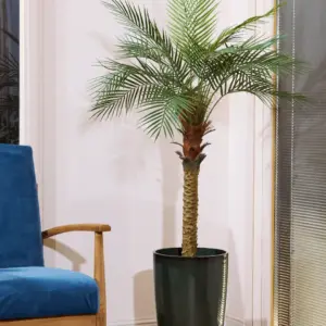 סט דקל קוקוס בכד גלזורה מלאכותי