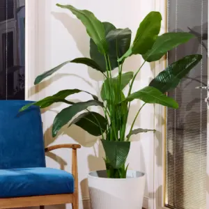 סט ציפור גן עדן בכד וינה מלאכותי