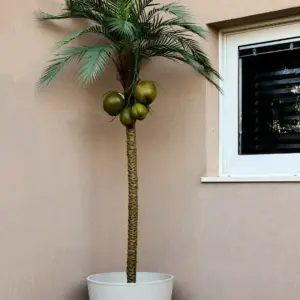 סט דקל קוקוס בכד וינה מלאכותי